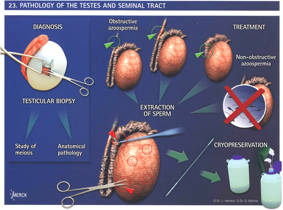 Hong Kong Fertility Technology&Prenatal Diagnosis Centre