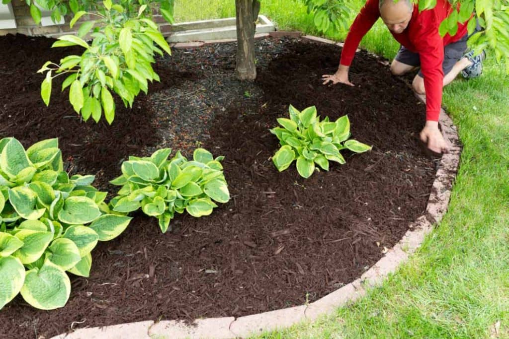 What Is The Best Type Of Mulch For Flower Beds at Jesus King blog