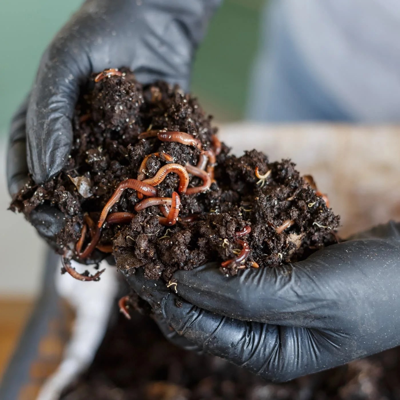 Fertwerck Making EcoFertilizers Easy