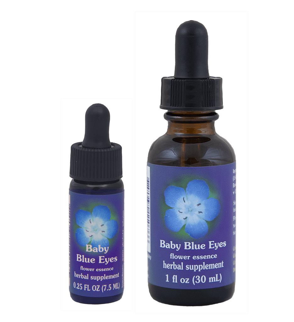 Baby Blue Eyes (Ojos azules de bebé) FES México