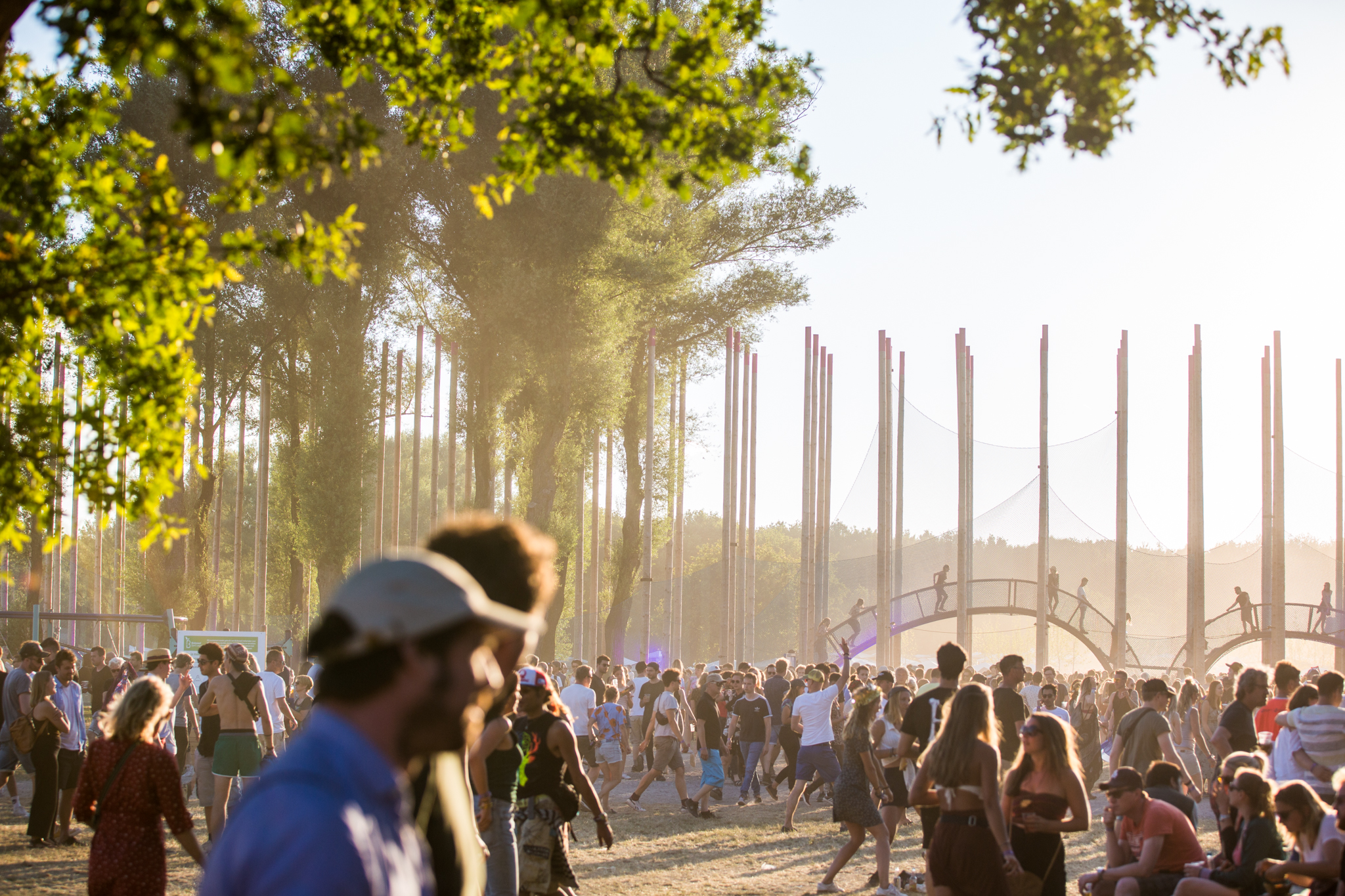 Down The Rabbit Hole 2020 onthult informatie rondom