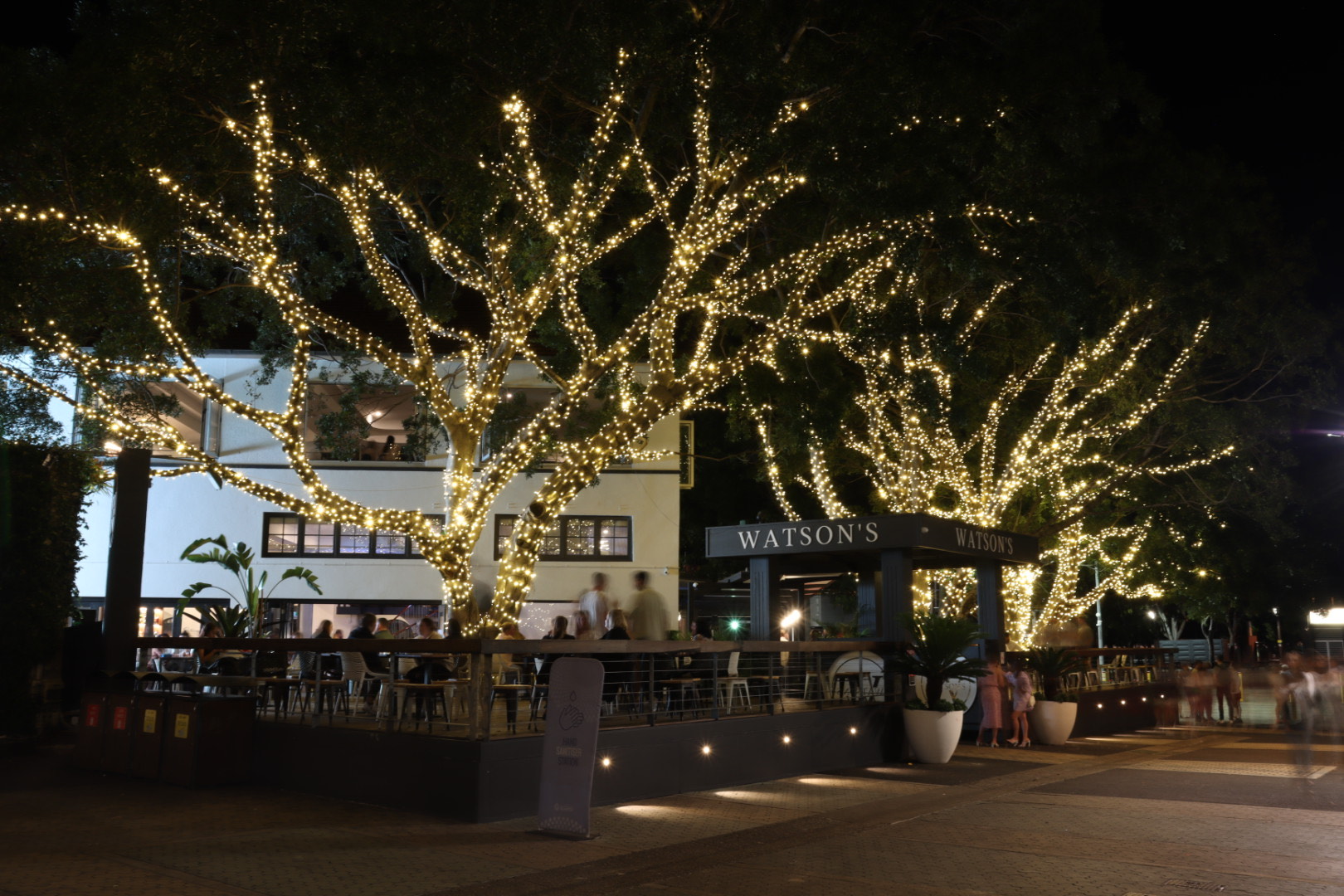 Tree Fairy Lights Festoon Lighting Sydney