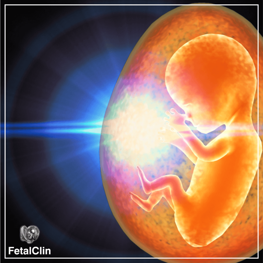 Exames FetalClin Medicina Fetal em União da Vitória
