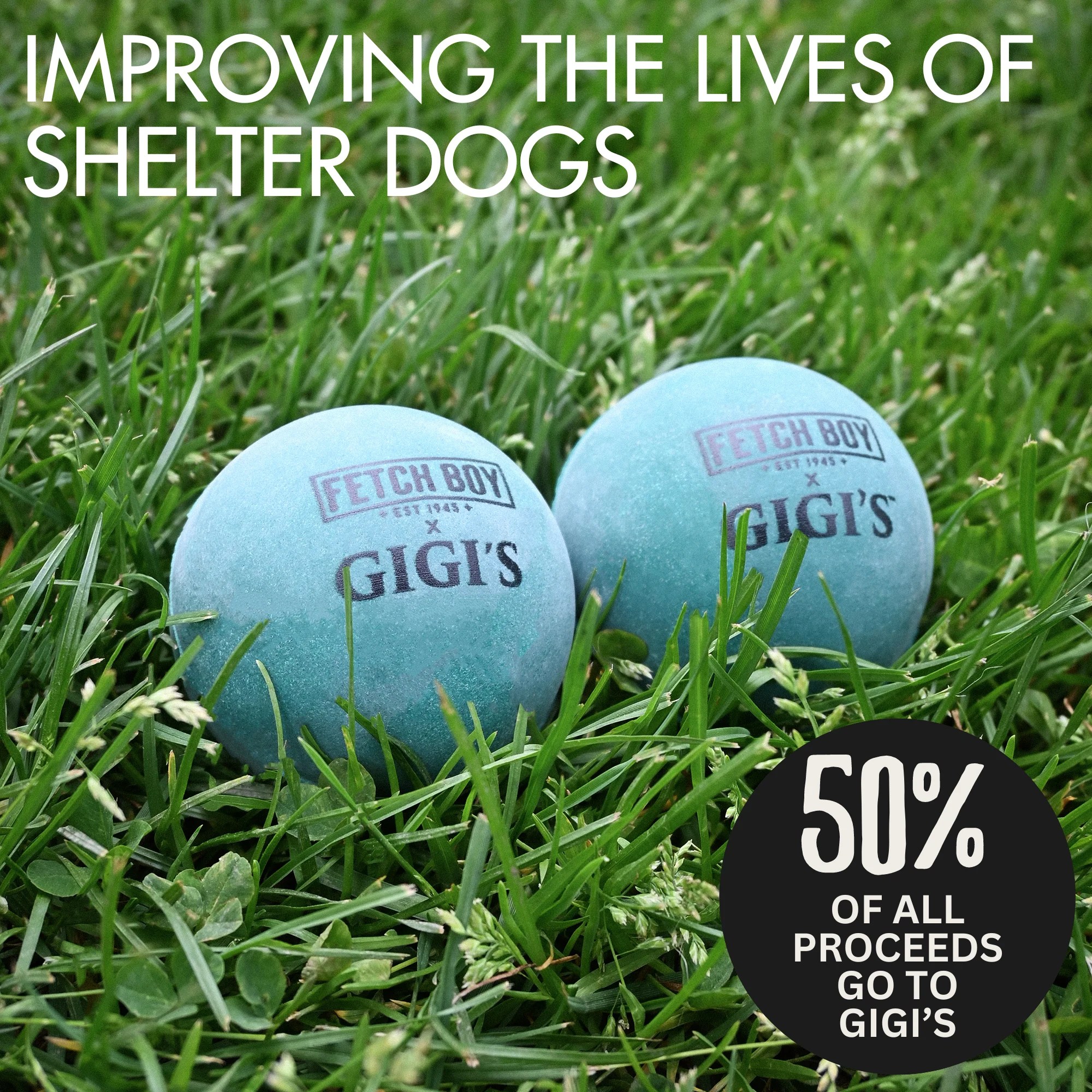 Dog Toy Rubber Ball Fetch Boy Dog Toys Made in USA The O.G. of