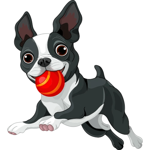 Tour Fetch Dog Resort