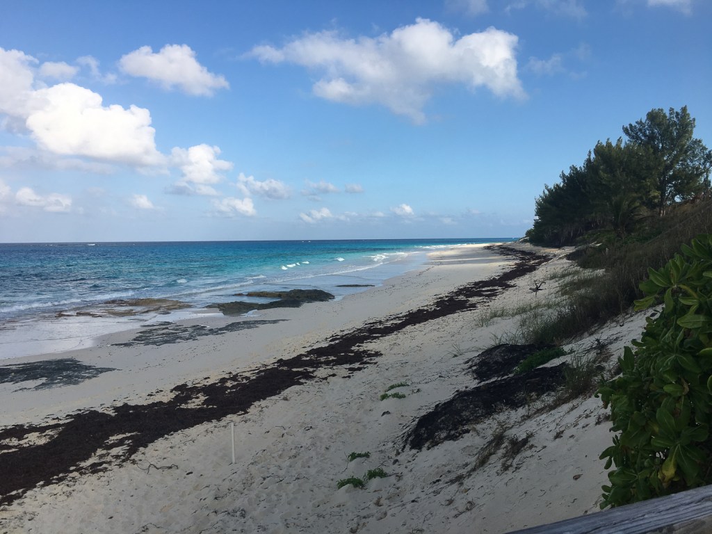 What is special about Great Guana Cay? fetchinketch