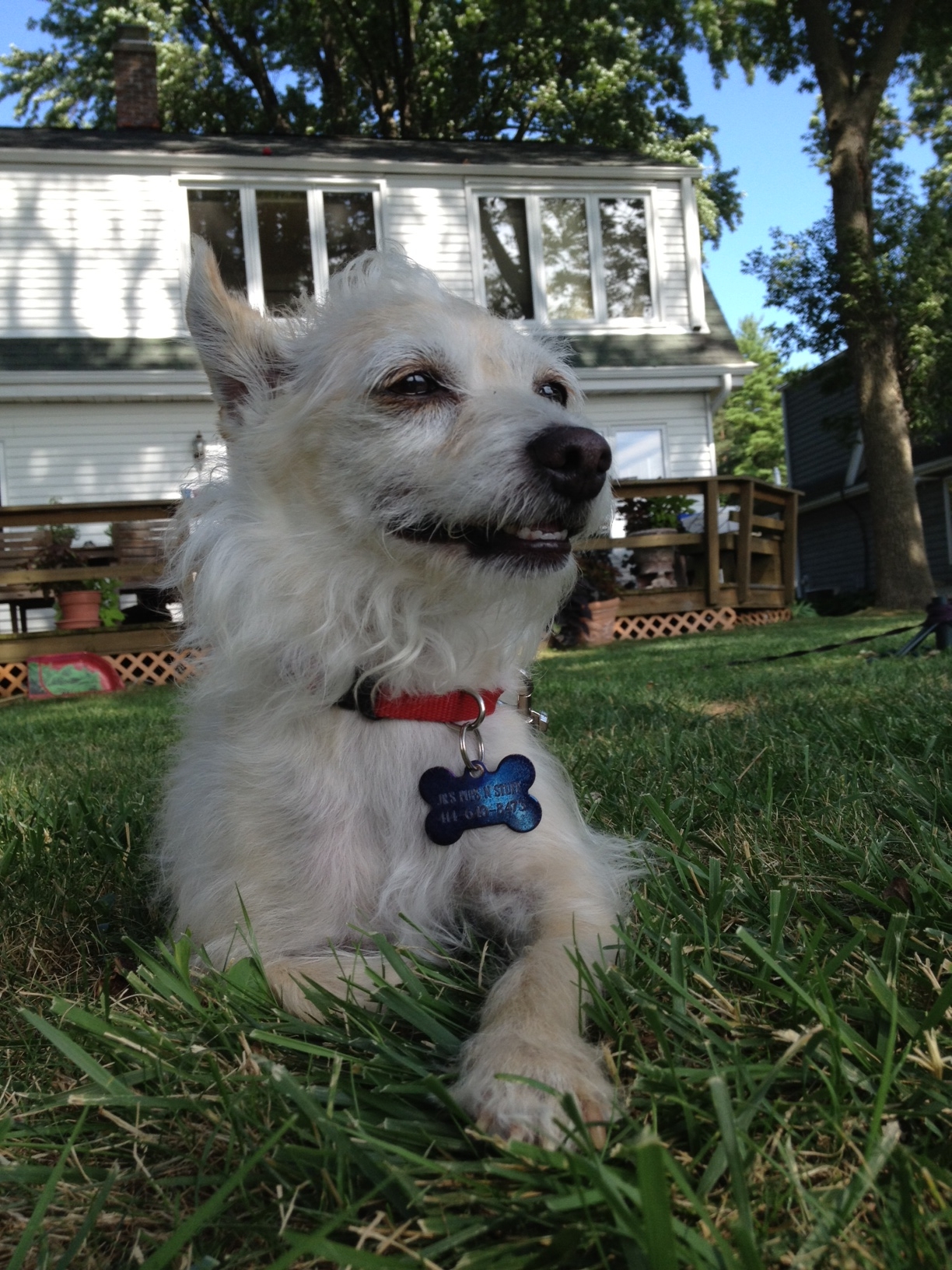 JRs Pups N Stuff FETCH Magazine's log