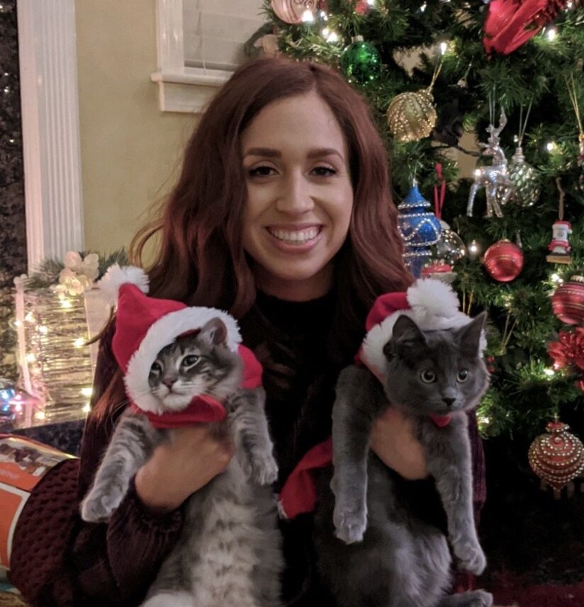 Seattle, WA Professional Dog Walking and Pet Sitting Services.