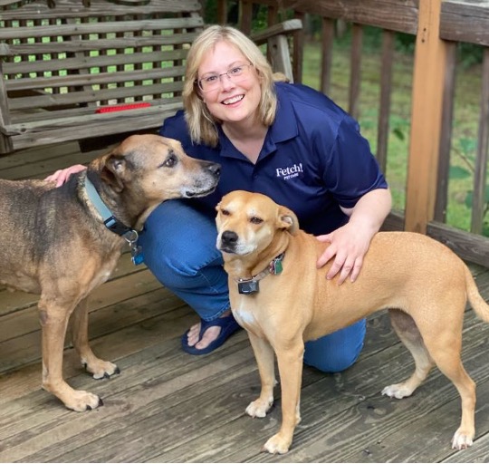 How Do I Hire A Dog Sitter