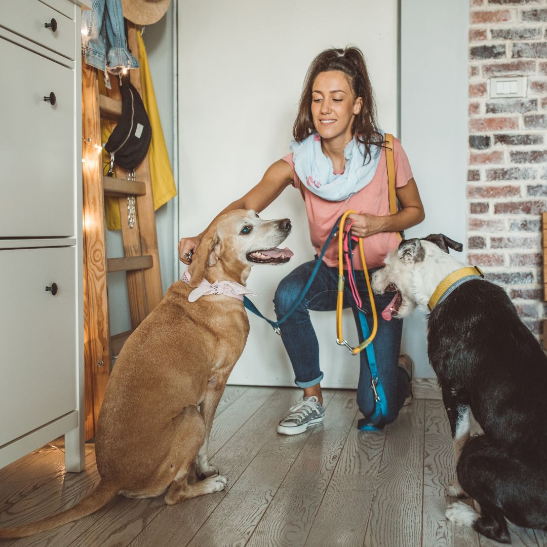 The Ultimate Guide to Finding the Perfect Pet Sitter in Palm Springs