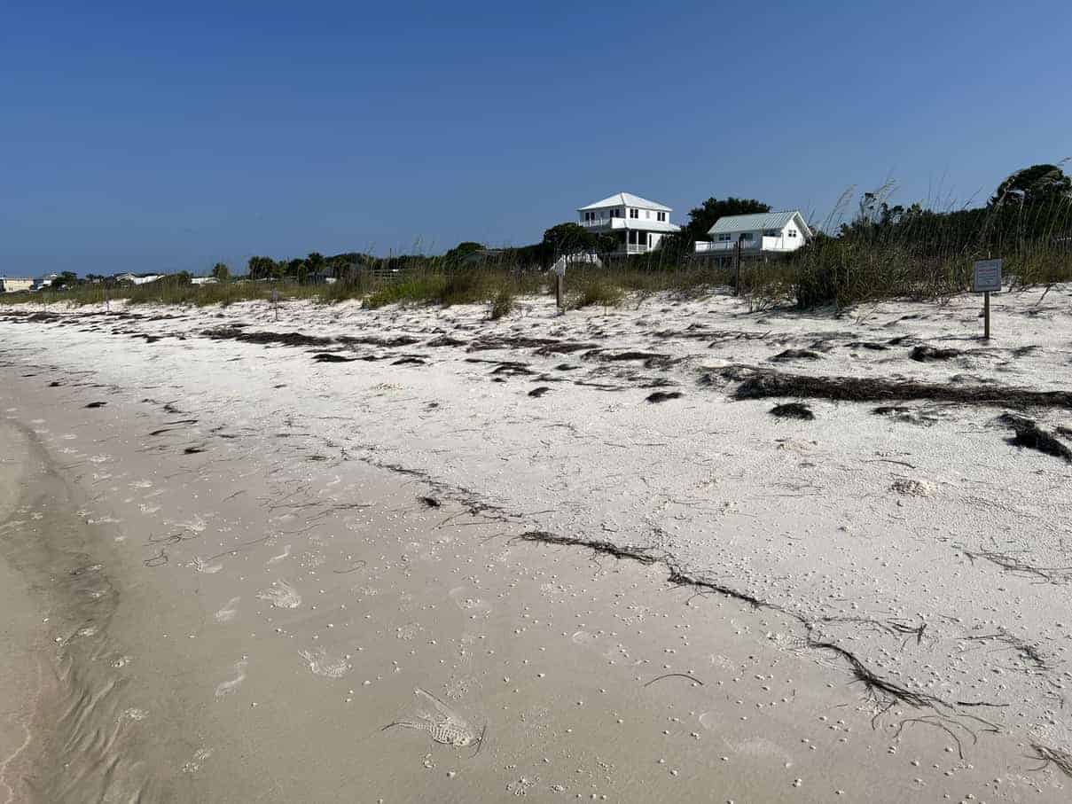 Alligator Point, Florida, The Best Hidden Beach Town to Visit in 2023