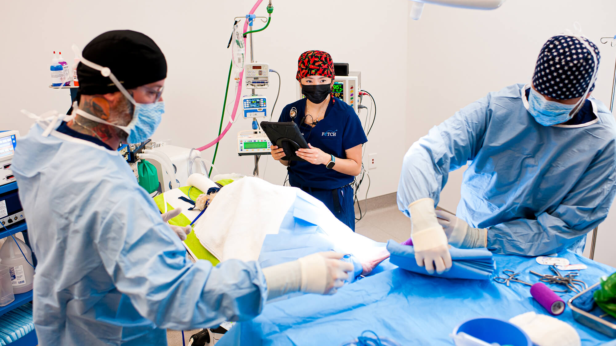 Specialized Veterinary Surgery Fetch Specialty & Emergency Veterinary