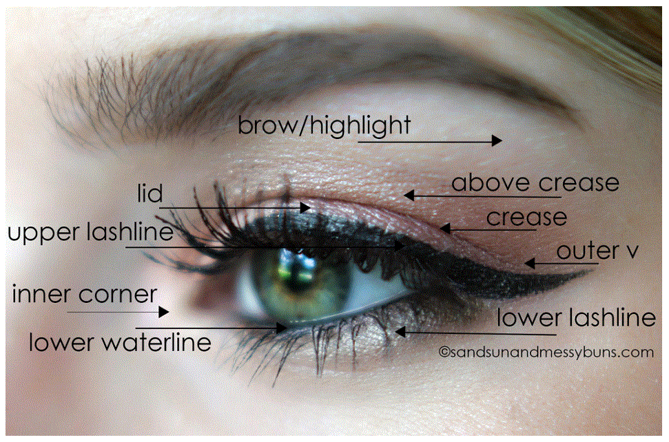 Eye Shape Makeup Chart Fevour Cosmetics