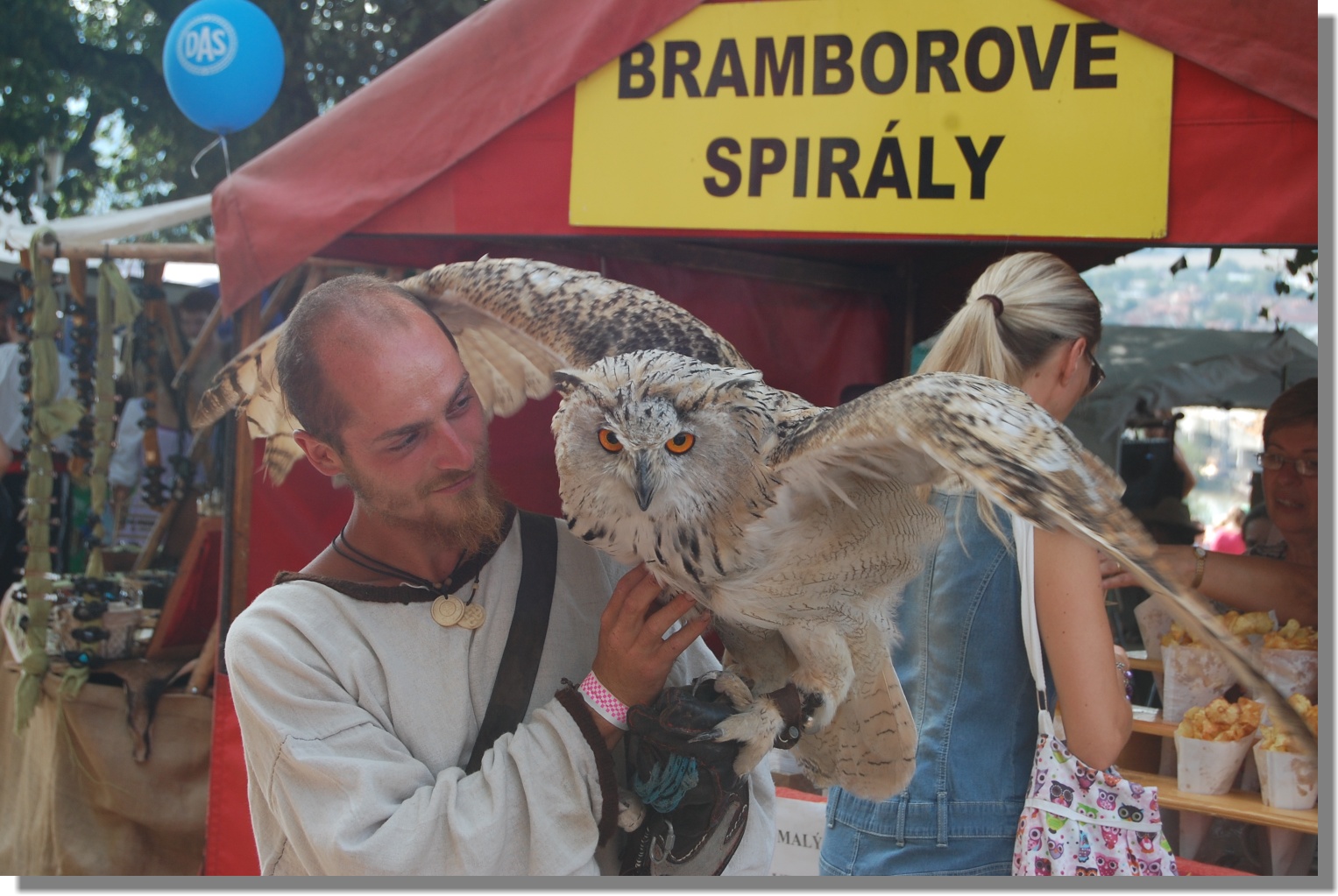 XXI Trencin´s Castle Festival (Falconer) few wordsuncountable colours