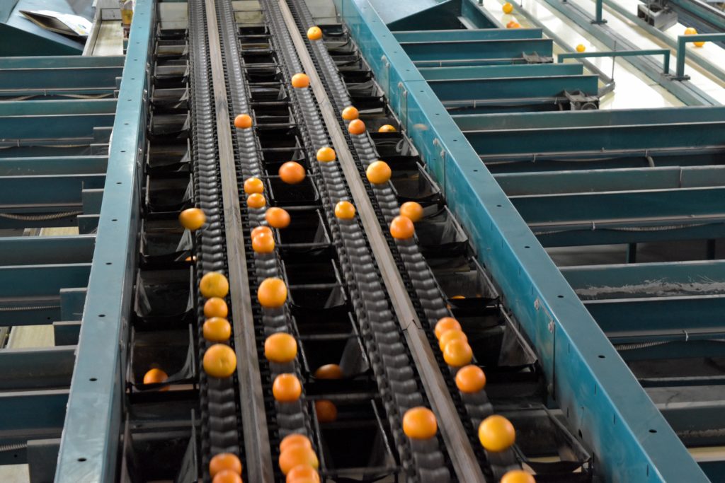 Packing House Fresh Fruit Group