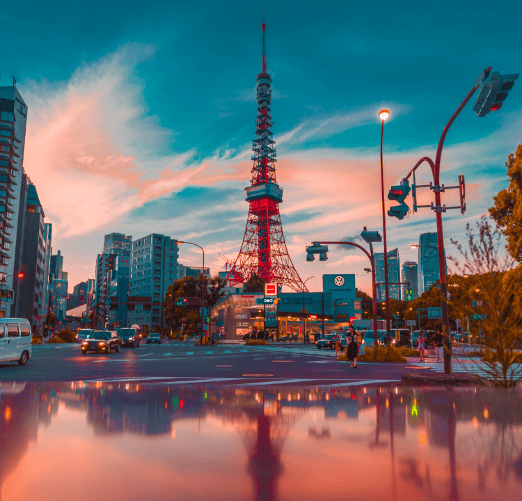 International Pet Shipping to Japan FF Express