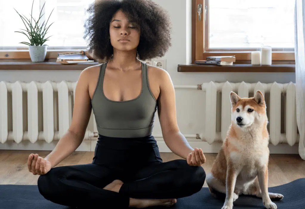 International Pet Shipping to Germany FF Express