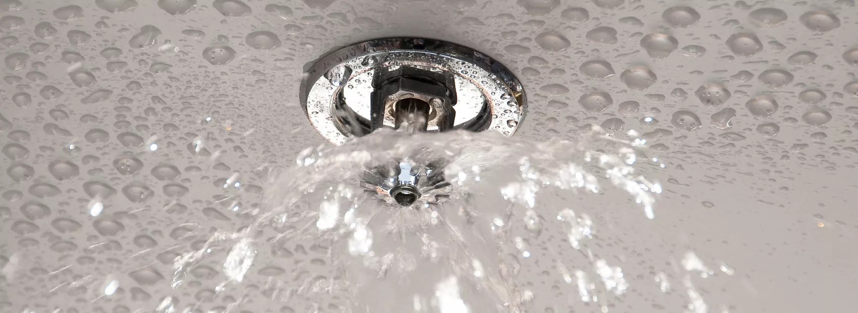 Commercial Fire Sprinkler Installation In Northern CA