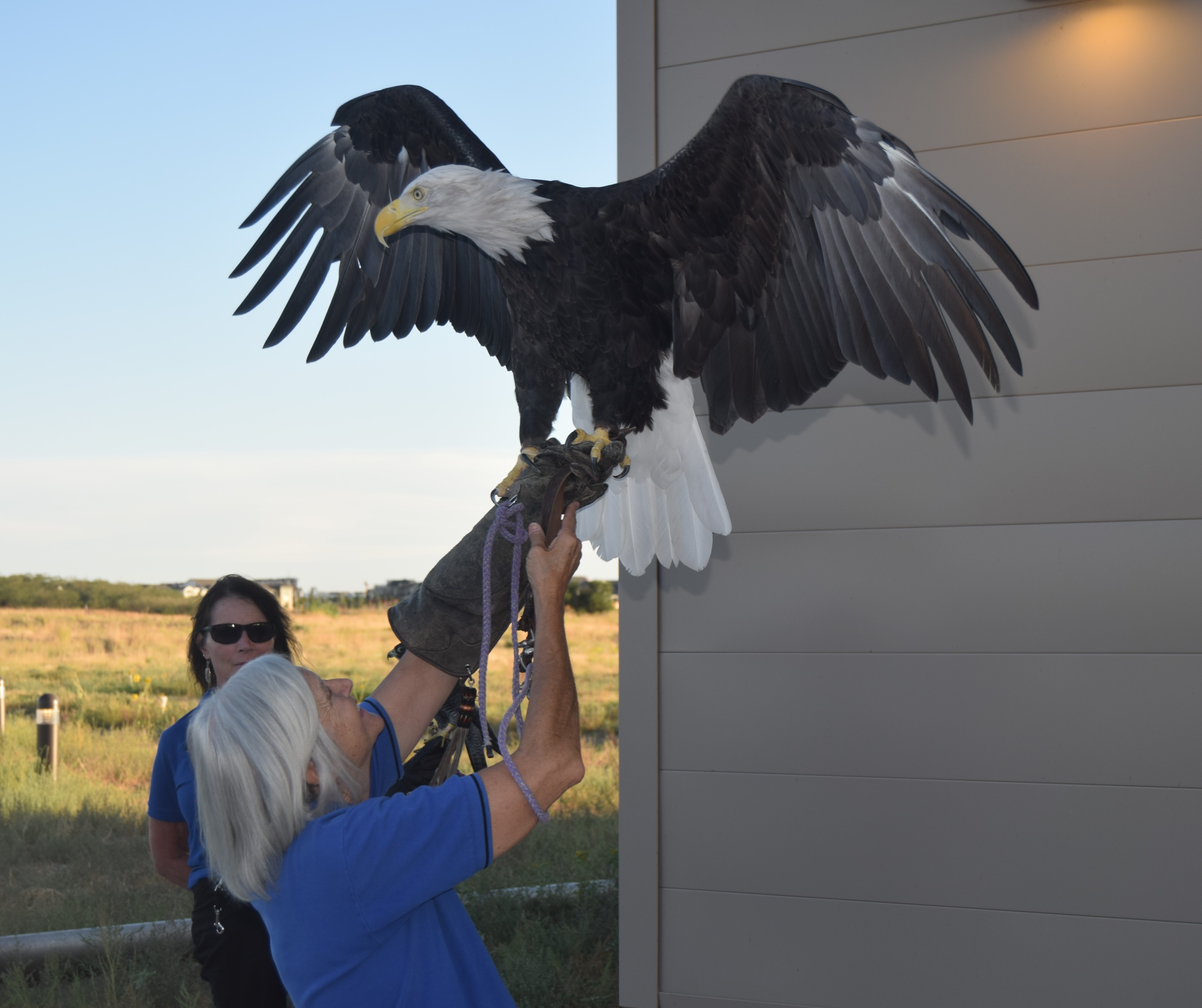 Big eagle Friends of the Front Range Wildlife Refuges