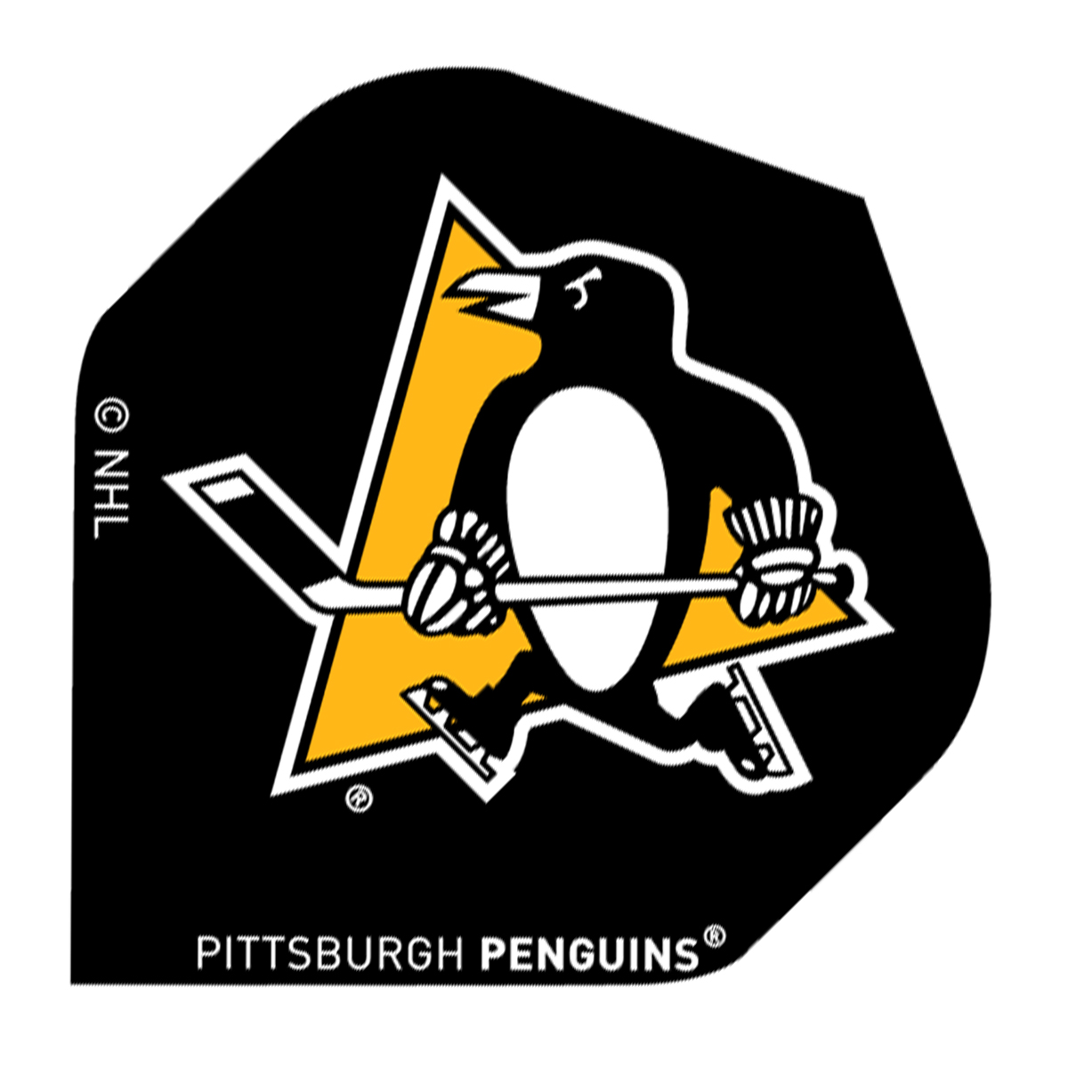 NHL Flights Pittsburgh Penguins