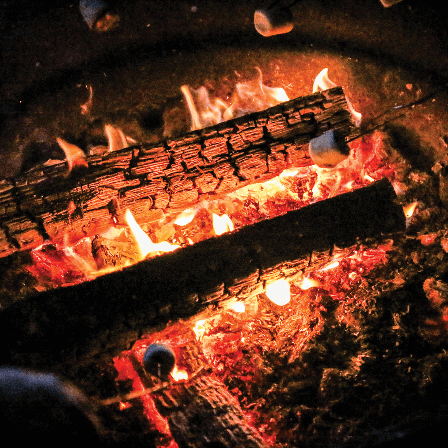 Facility Usage Forest Glen