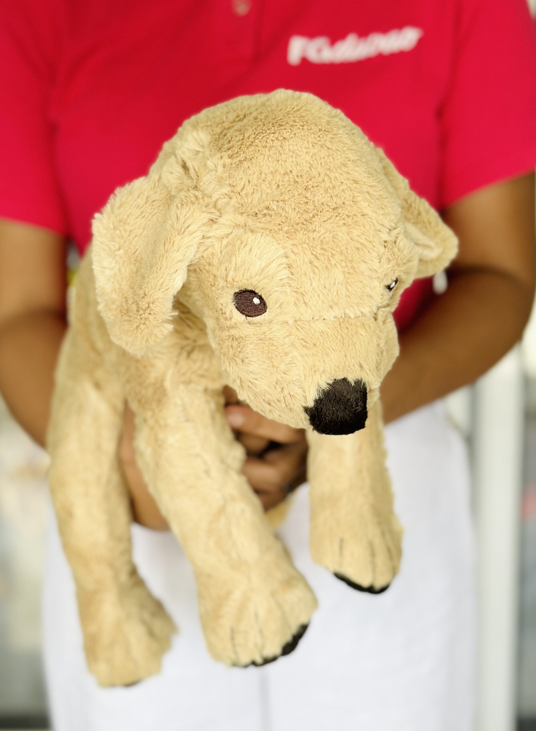 Stuffed Toys FG Davao Flowers Gifts Delivery