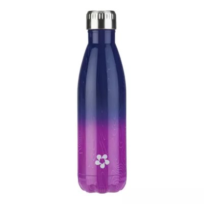 Sport Chek 17 oz Stainless Steel Water Bottle Purple/Blue Sport Chek