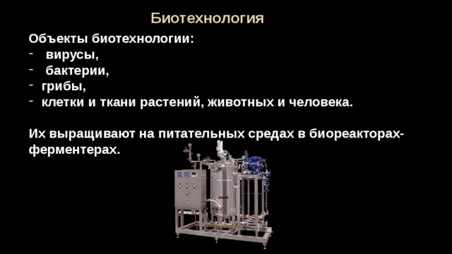 Объекты экологическая биотехнология. Классификация биообъектов в биотехнологии. Объекты биотехнологии. Предмет исследования биотехнологии. Объекты биотехнологии.