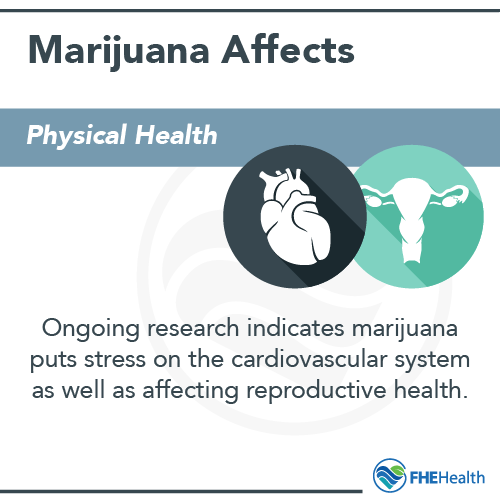 Understanding the LongTerm Effects of Marijuana FHE Health