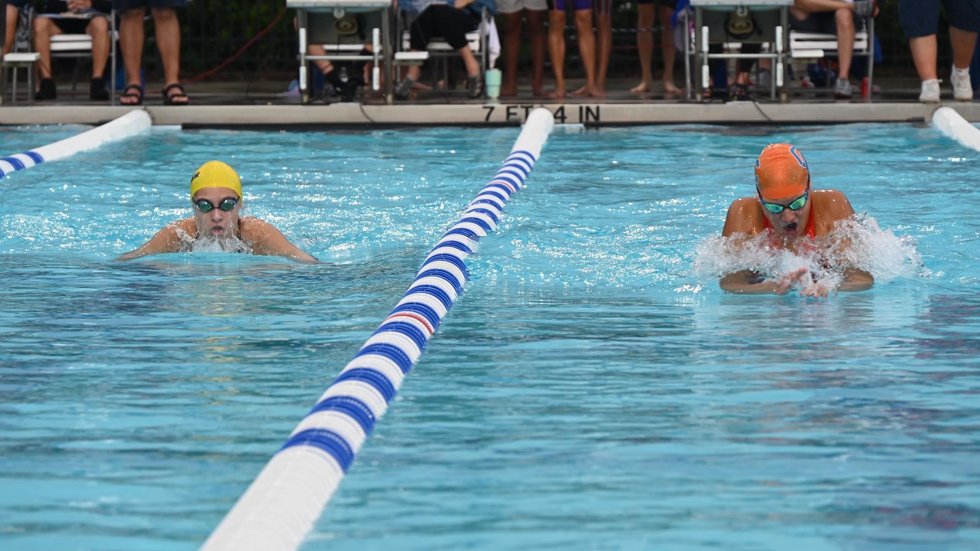 2023 Swimming & Diving State Championships: Know Before You Go