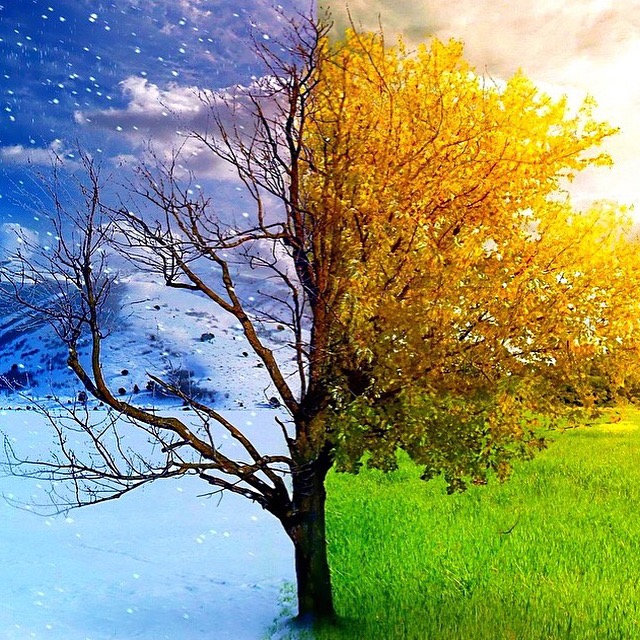 Students Compare Fall And Winter Nix News