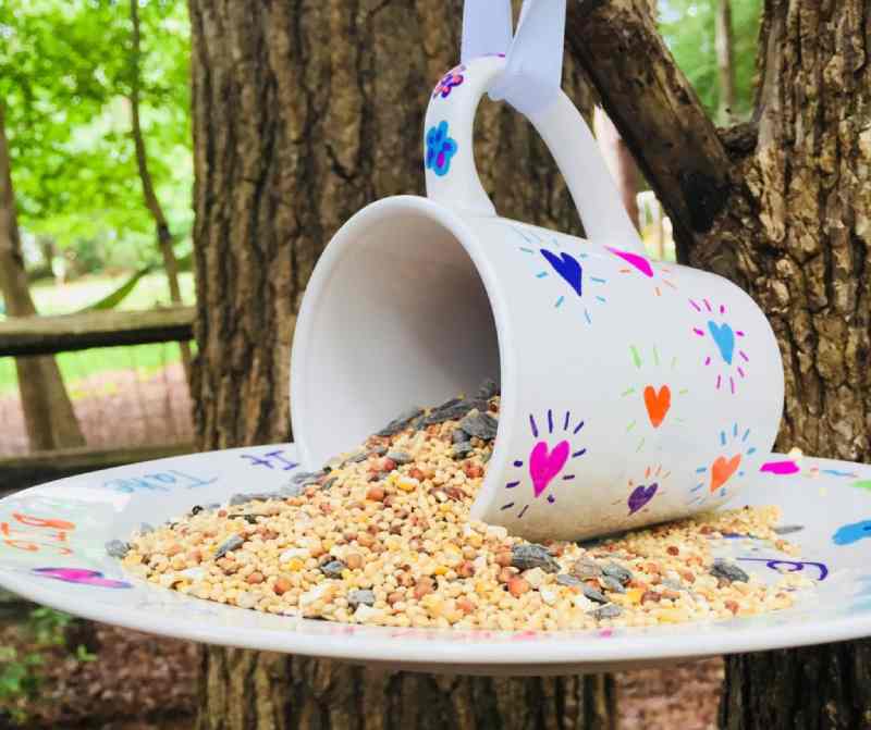 Bird Feeder Made with a Coffee Cup