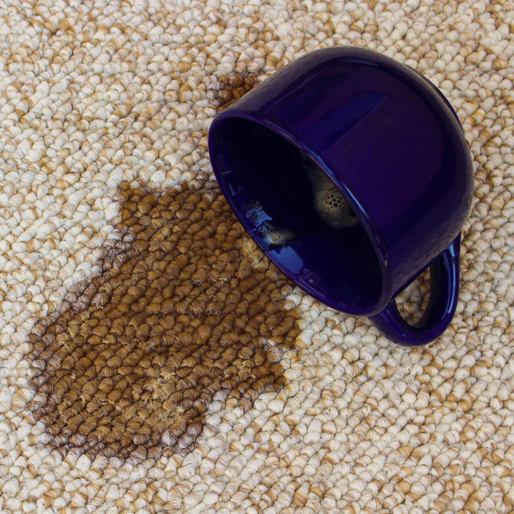 Stain Removal Pet Urine, Coffee & Ink FiberSeal Systems