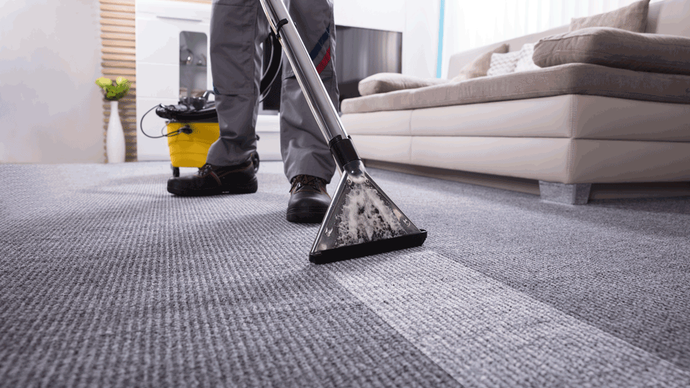 Choosing The Best Carpet Cleaning Service FiberSeal Systems