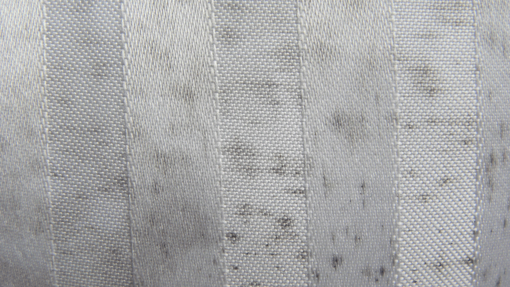 How Do You Get Mold And Mildew Out Of Fabric at Vincent Hammons blog