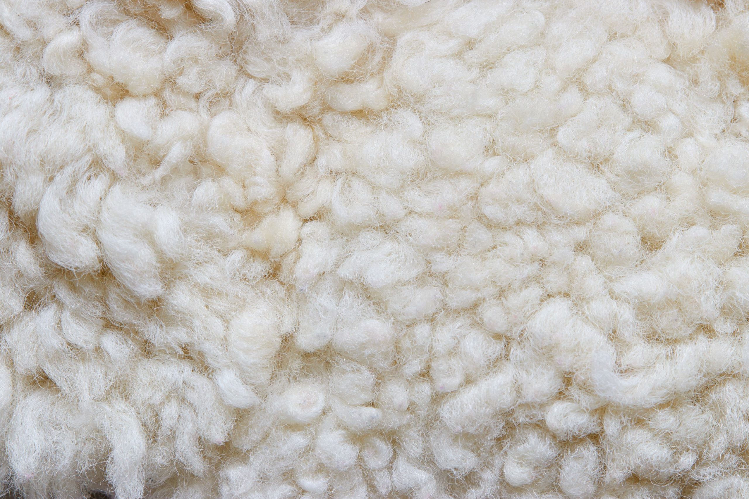 What is Wool? Caring for Wool Rugs, Upholstery and Carpet FiberSeal