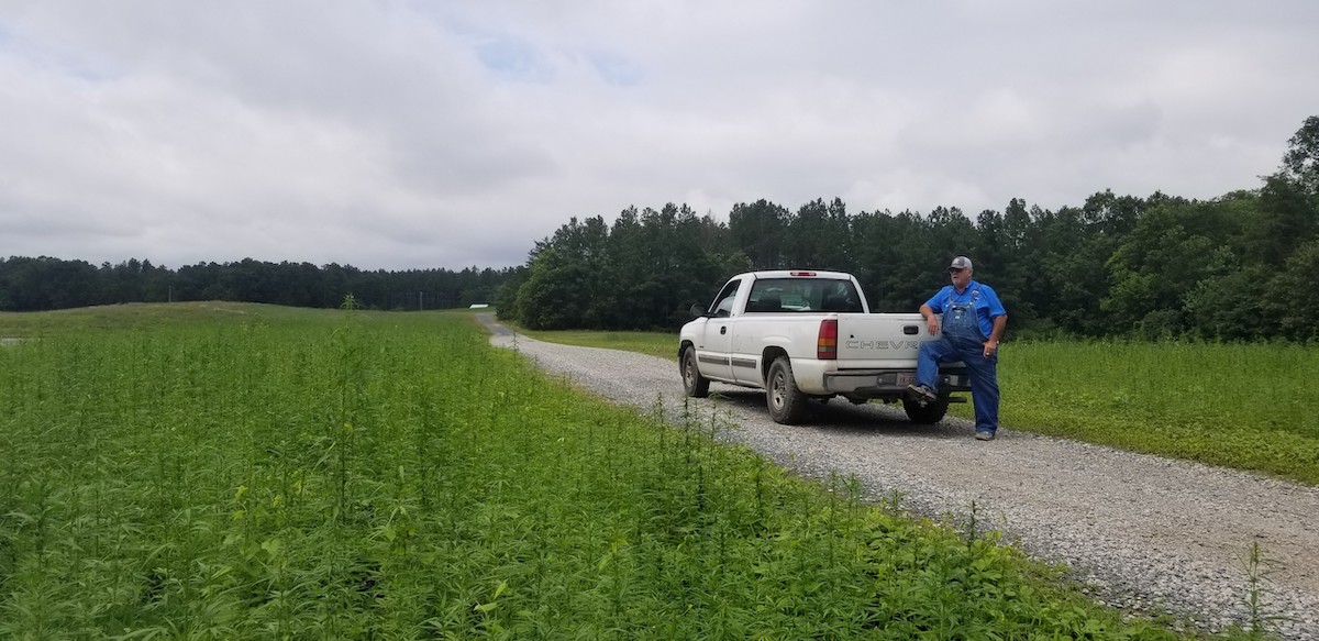 Growing 50 Acres of Hemp in North Carolina Field Notes from the One