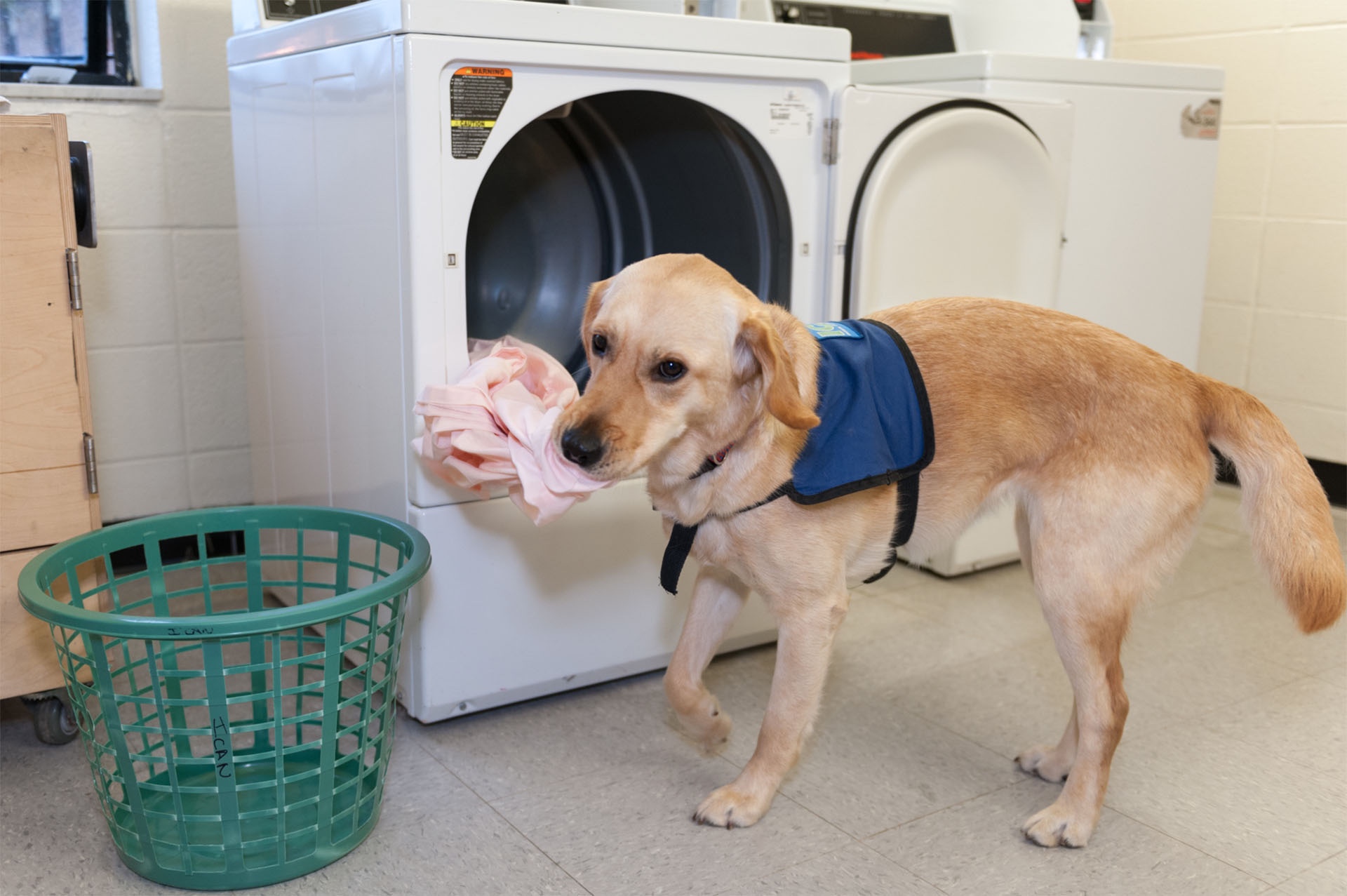 How owning a dog can help people with Chronic Pain such as