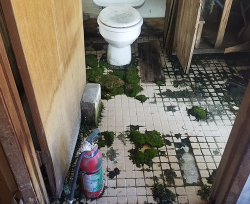 Asbestos Abatement in Wichita Falls, TX Asbestos Consulting