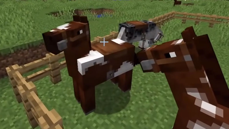 What Do Horses Eat In Minecraft? Fiction Horizon