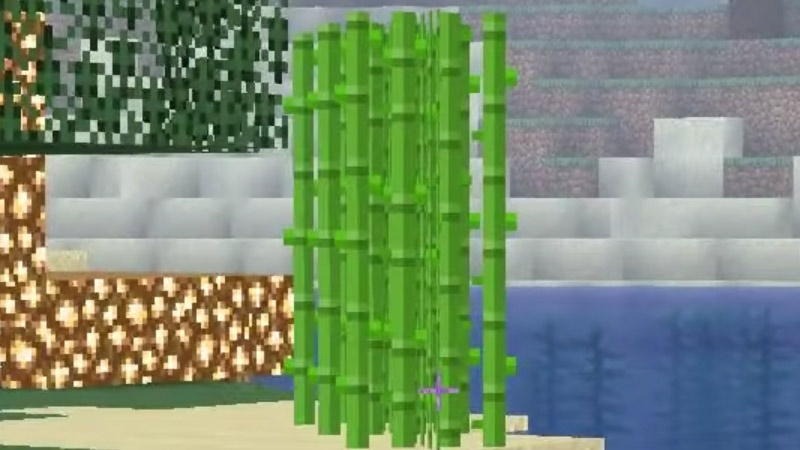 How To Grow Sugarcane In Minecraft? 6 Simple Steps