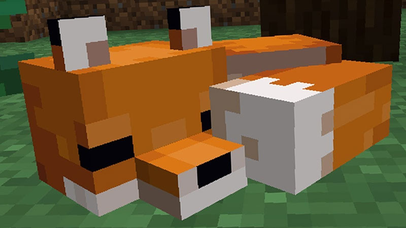 Minecraft Fox Taming, Breeding, Spawning, And More