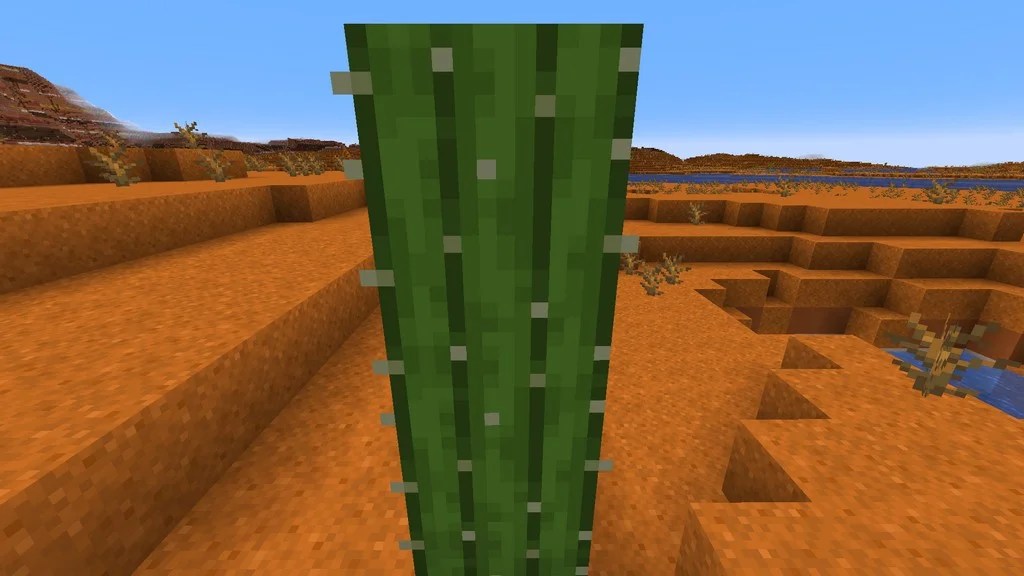 Minecraft Here’s How Long It Takes for Cactus To Grow