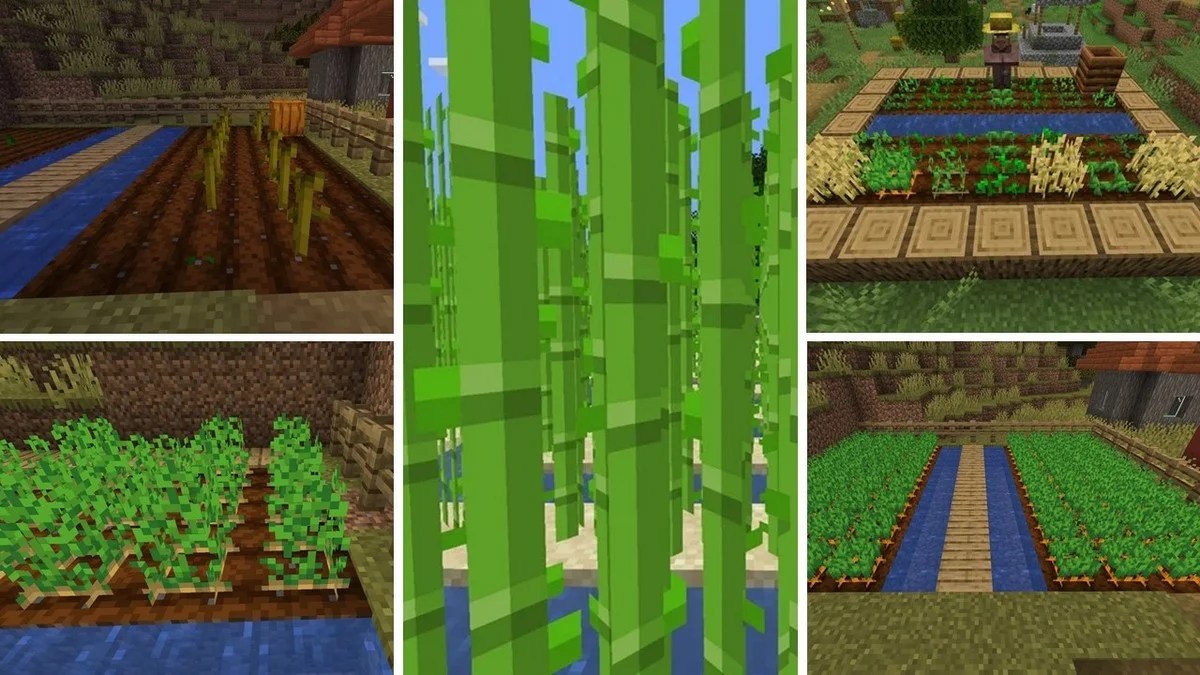 Minecraft Here’s How Long It Takes for Crops To Grow