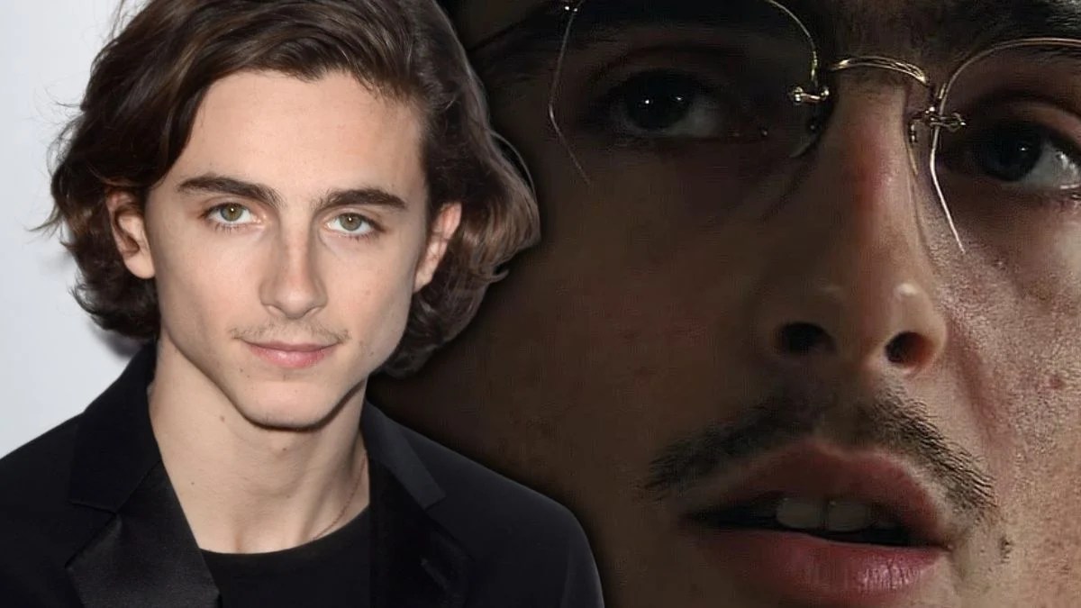 Timothe Chalamet Went Through 40 Takes Of Spanking Without A Double