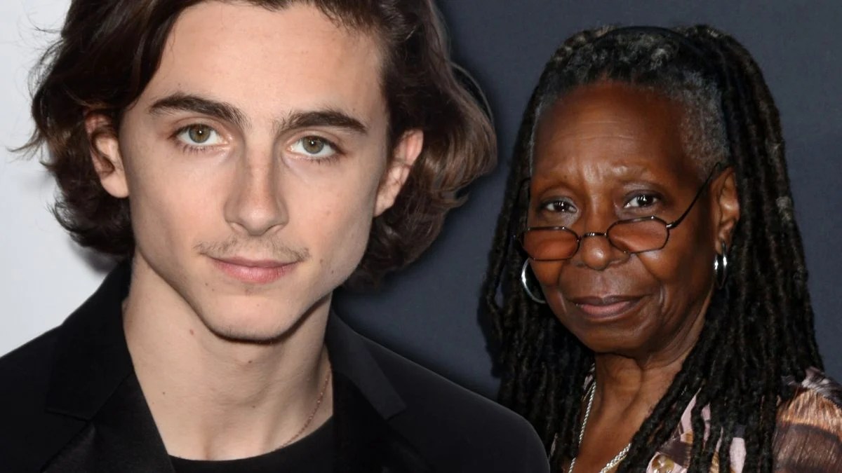 Timothe Chalamet Called Vapid And Shallow On The View After