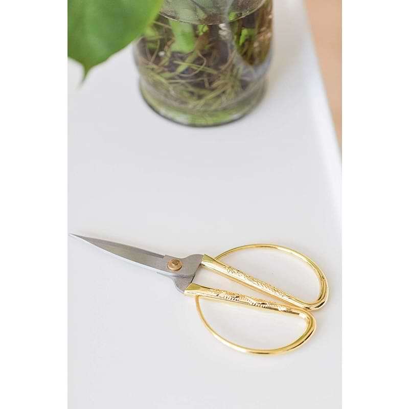 Houseplant Scissors and Pruning Shears The Fiddle Leaf Fig Plant Resource