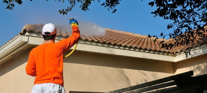 Clean Your Roof! The Dangers of Roof Mold and Algae