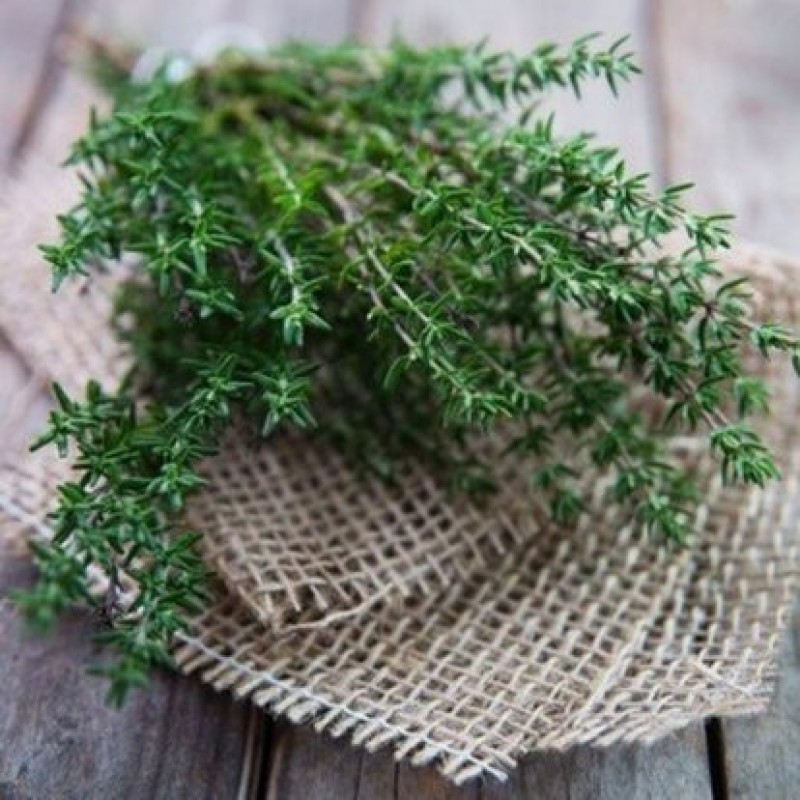 Kekik Tohumu (Thymus Vulgaris)