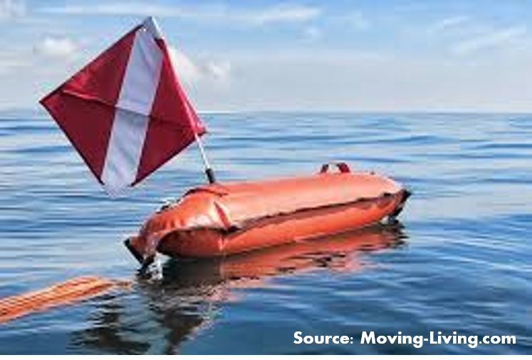 Helpful Equipment & Tools Spearfishing 101 FiDive to Be Free